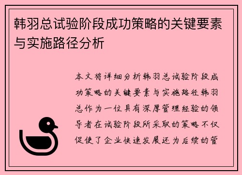 韩羽总试验阶段成功策略的关键要素与实施路径分析