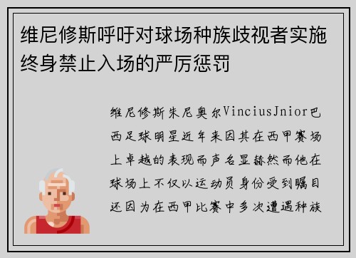 维尼修斯呼吁对球场种族歧视者实施终身禁止入场的严厉惩罚 维尼修斯呼吁对球场种族歧视者实施终身禁止入场的严厉惩罚